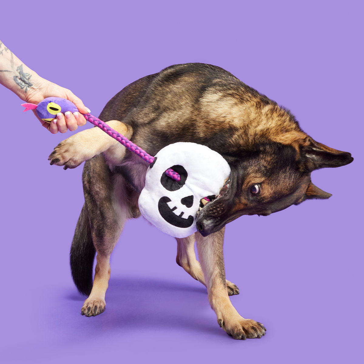 Sssskull Plush Extra-Large + Tug Dog Toy - Image 3