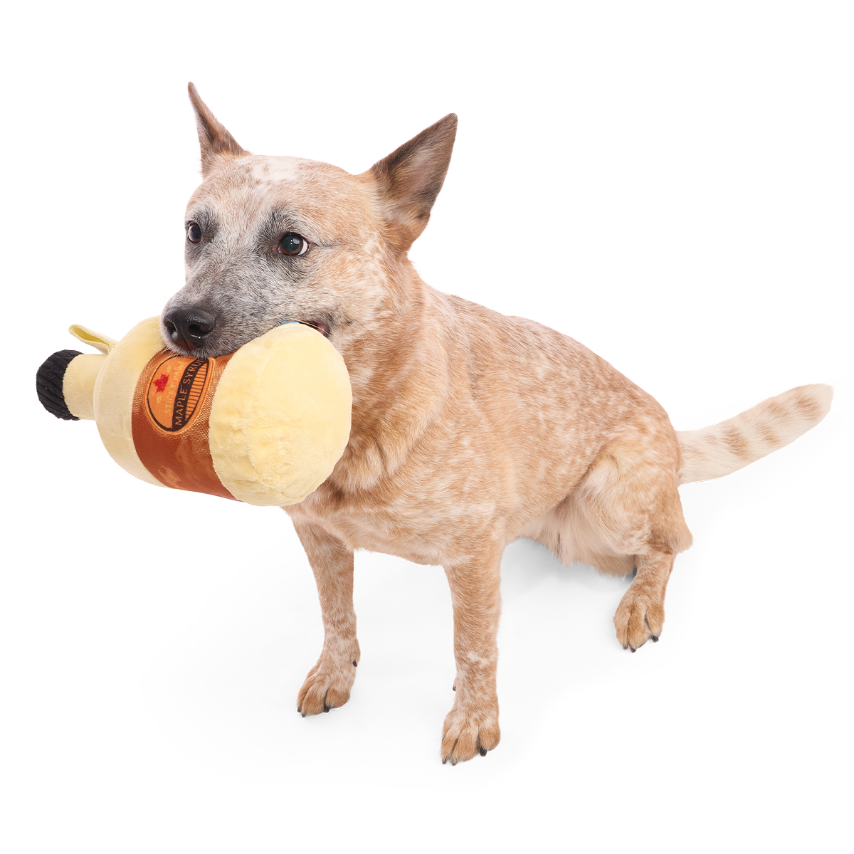 Sticky Paws Maple Syrup Plush 2-in-1 + Tug Dog Toy - Image 3