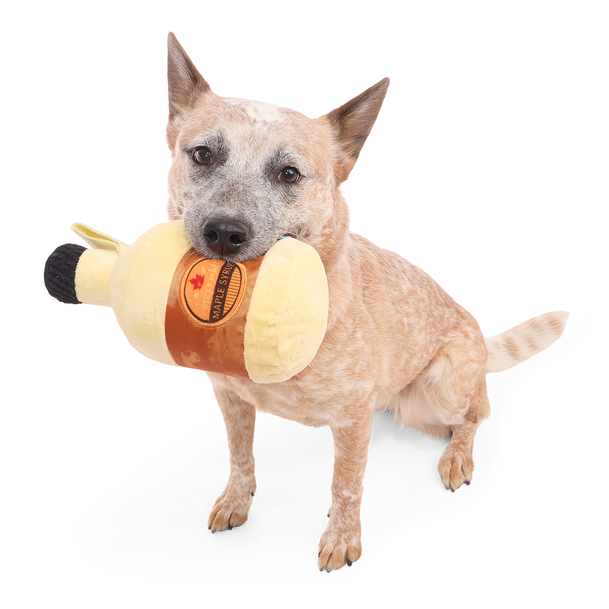 Sticky Paws Maple Syrup Plush 2-in-1 + Tug Dog Toy - Image 2