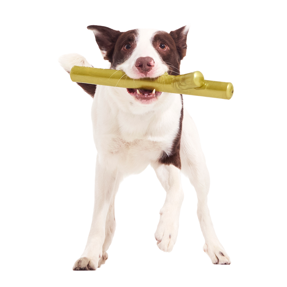 Super Stick Supreme Super Chewer Durable Extra-Large + Fetch Dog Toy - Image 4