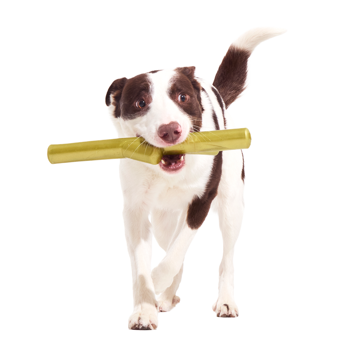 Super Stick Supreme Super Chewer Durable Extra-Large + Fetch Dog Toy - Image 3
