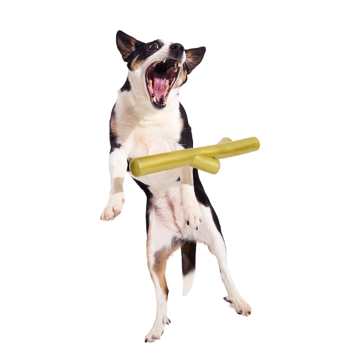 Super Stick Supreme Super Chewer Durable Extra-Large + Fetch Dog Toy - Image 5
