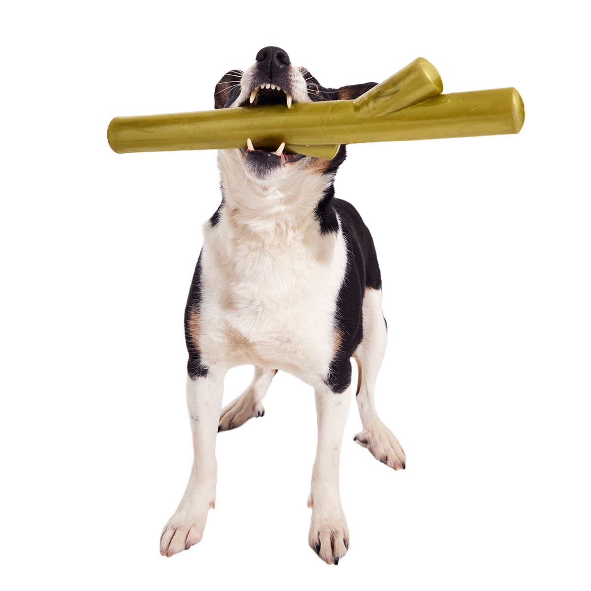 Super Stick Supreme Super Chewer Durable Extra-Large + Fetch Dog Toy - Image 6