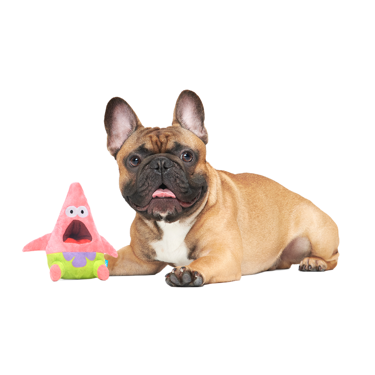Surprised Patrick Plush Enrichment Dog Toy - Image 4