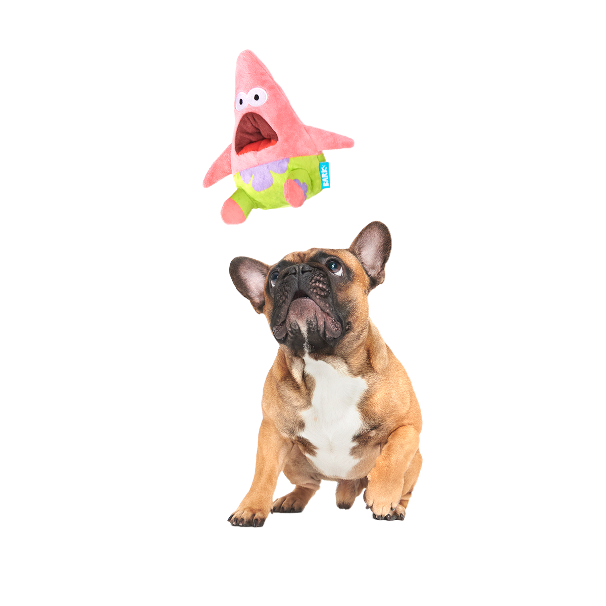 Surprised Patrick Plush Enrichment Dog Toy - Image 3