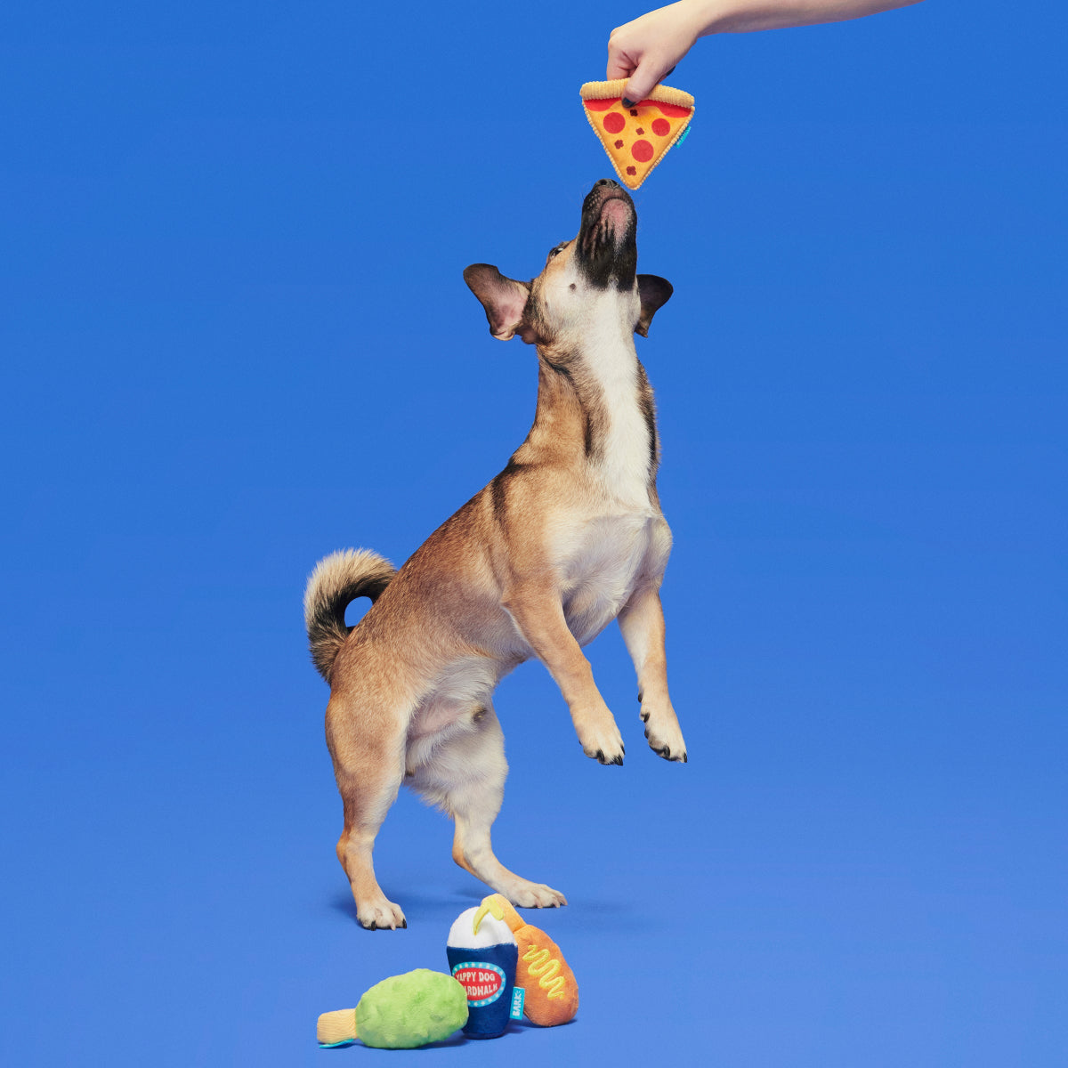Thrill Squeaker Snacks Plush Multi-Part Dog Toy - Image 4