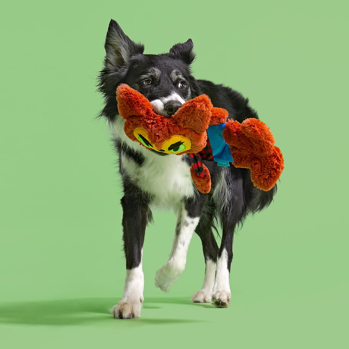 Teen Woof Plush Extra-Large + Tug Dog Toy - Image 5