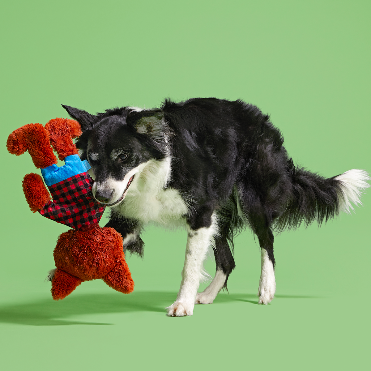 Teen Woof Plush Extra-Large + Tug Dog Toy - Image 3