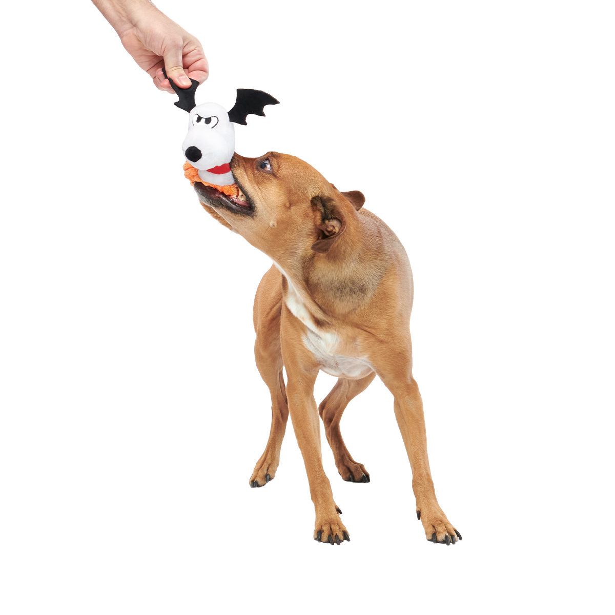 The Amazing BatDog Plush Tug Dog Toy - Image 2