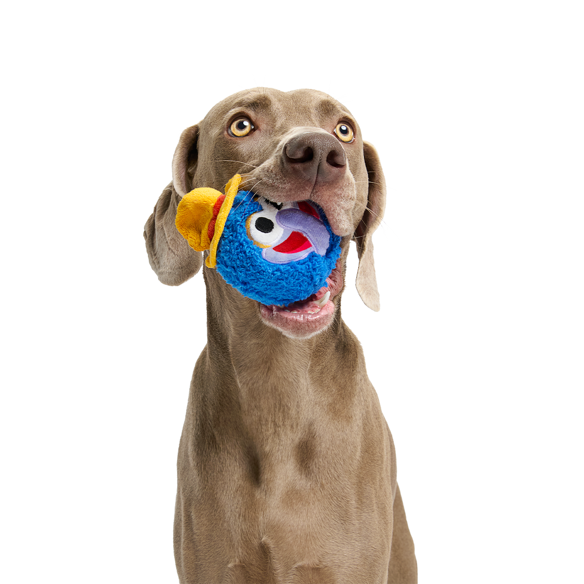 The Great Gonzo as Charles Lick-ens Super Chewer Durable 2-in-1 + Fetch Dog Toy - Image 3