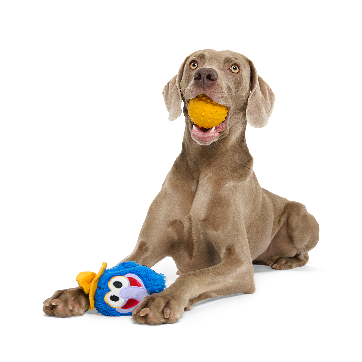 The Great Gonzo as Charles Lick-ens Super Chewer Durable 2-in-1 + Fetch Dog Toy - Image 2