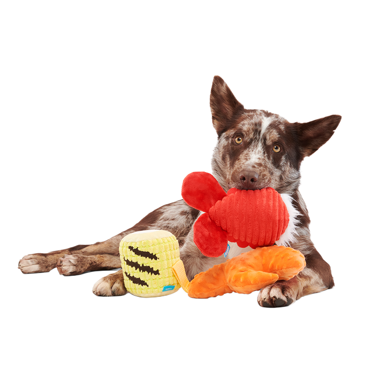 The Maine Event Plush Multi-Part Dog Toy - Image 6