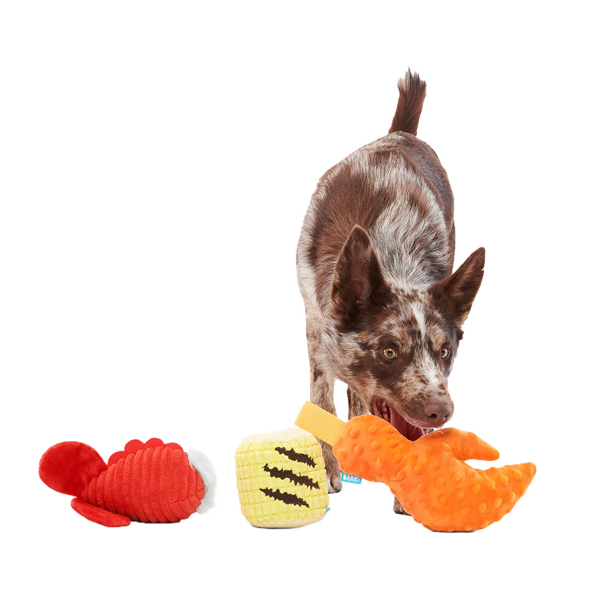 The Maine Event Plush Multi-Part Dog Toy - Image 5