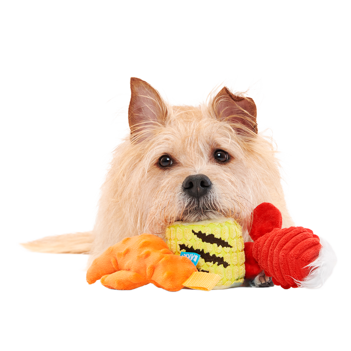 The Maine Event Plush Multi-Part Dog Toy - Image 4
