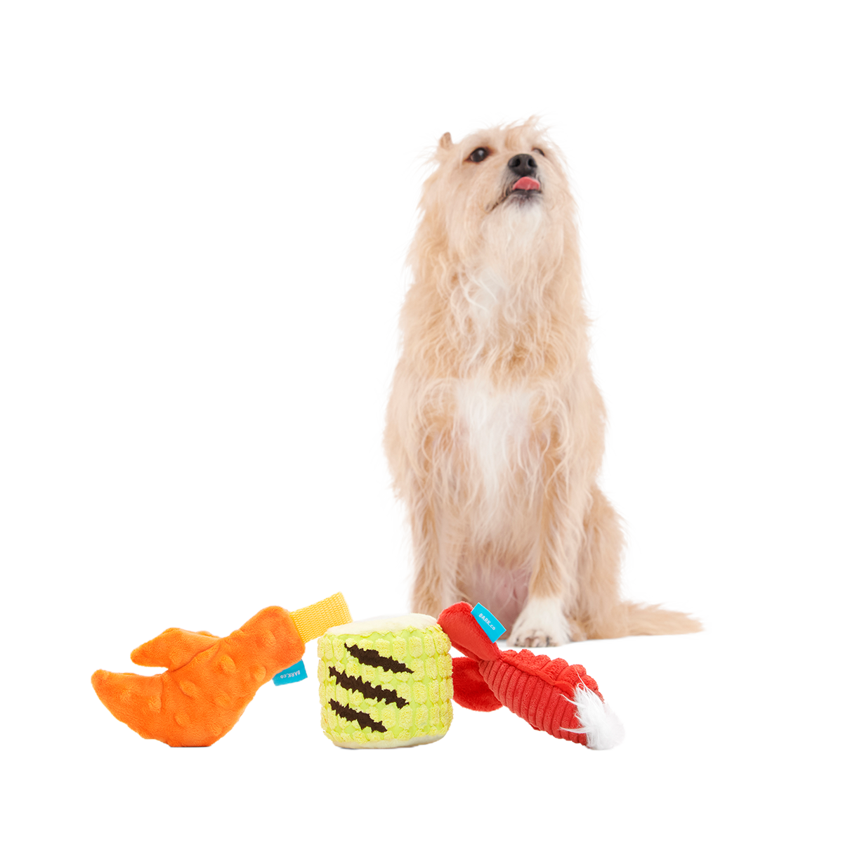 The Maine Event Plush Multi-Part Dog Toy - Image 3