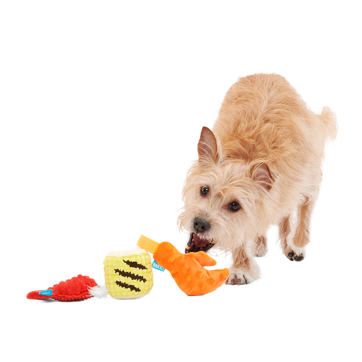 The Maine Event Plush Multi-Part Dog Toy - Image 2