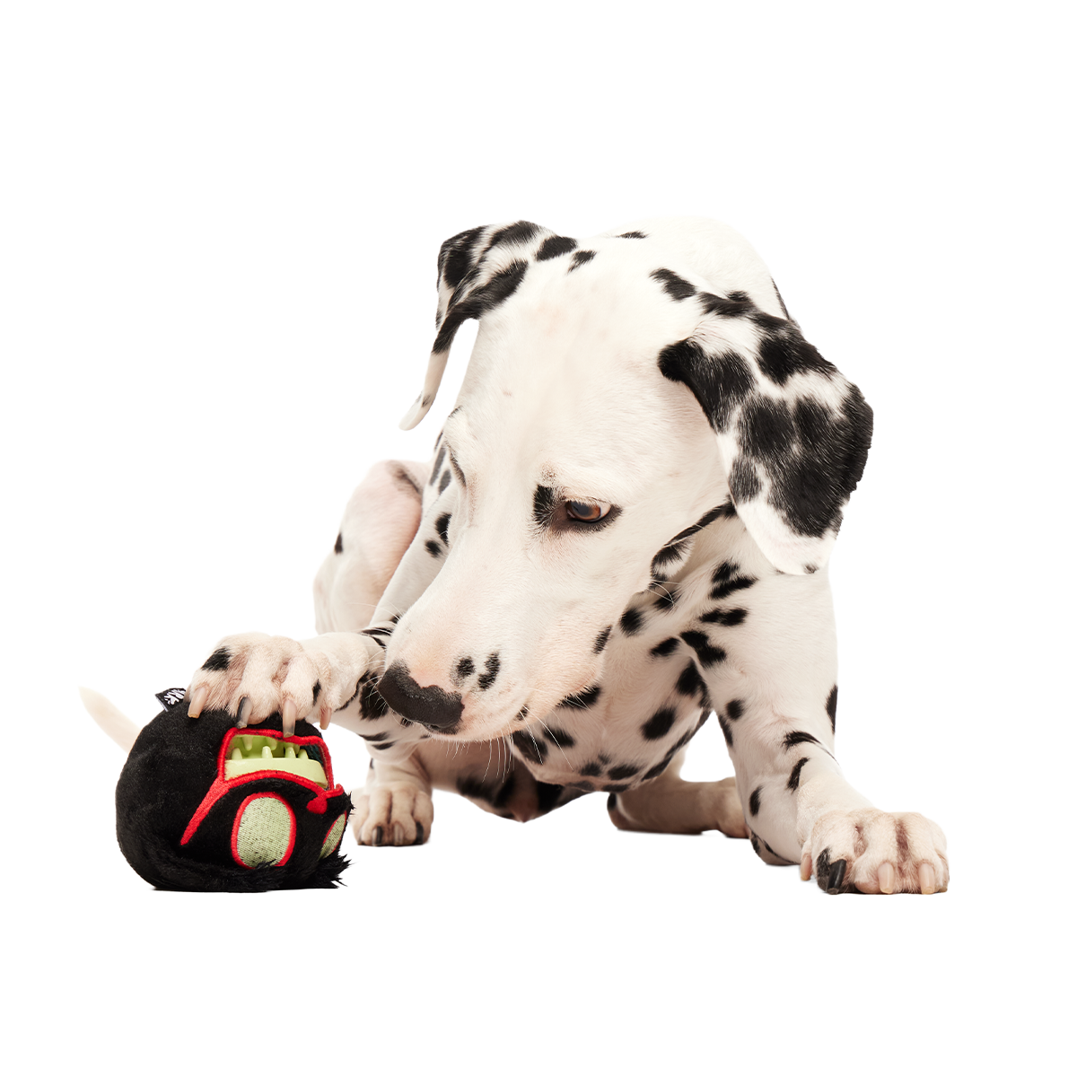 The Nightmeower Super Chewer Durable 2-in-1 + Fetch + Enrichment Dog Toy - Image 5