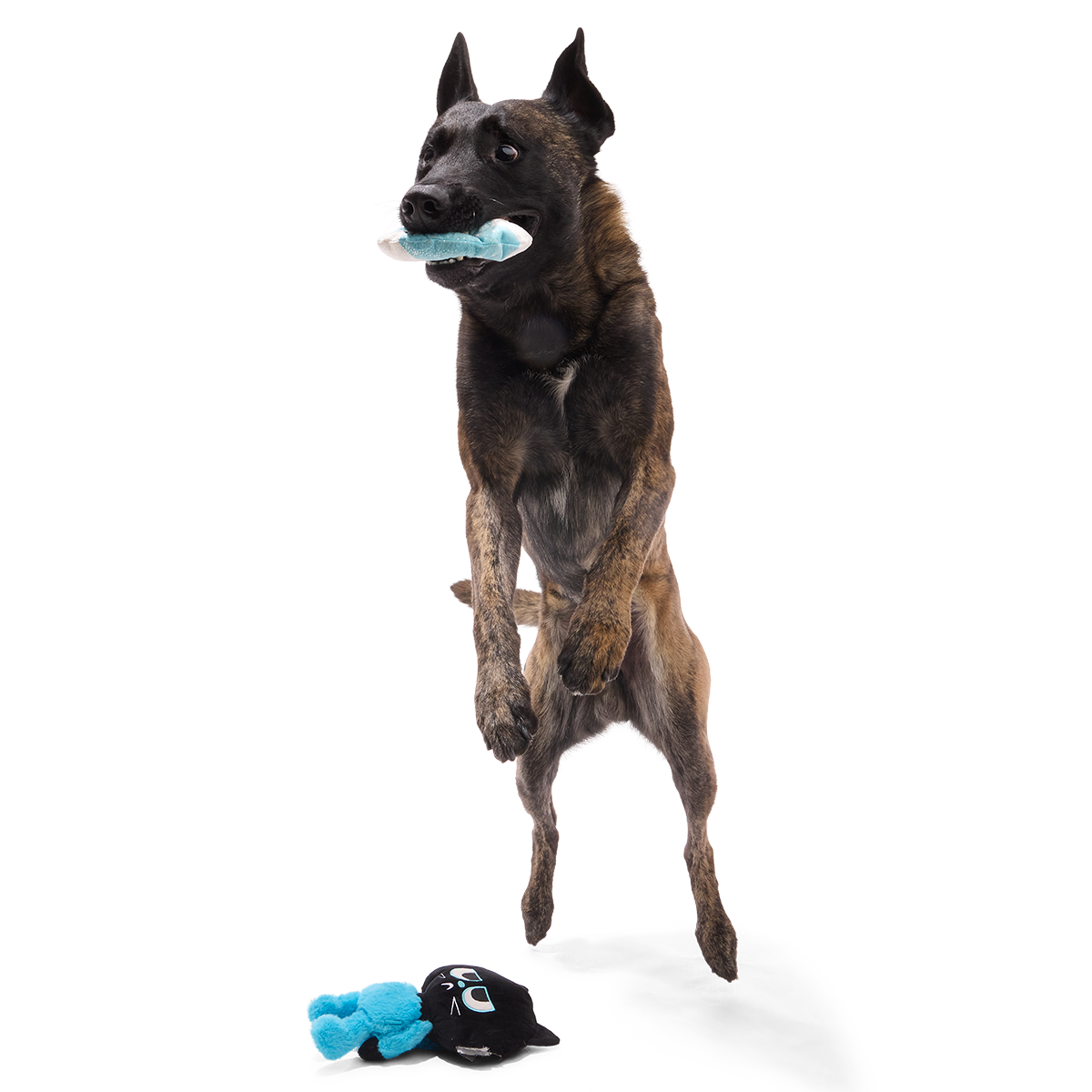 The Purrfect Crime Plush 2-in-1 + Tug Dog Toy - Image 4