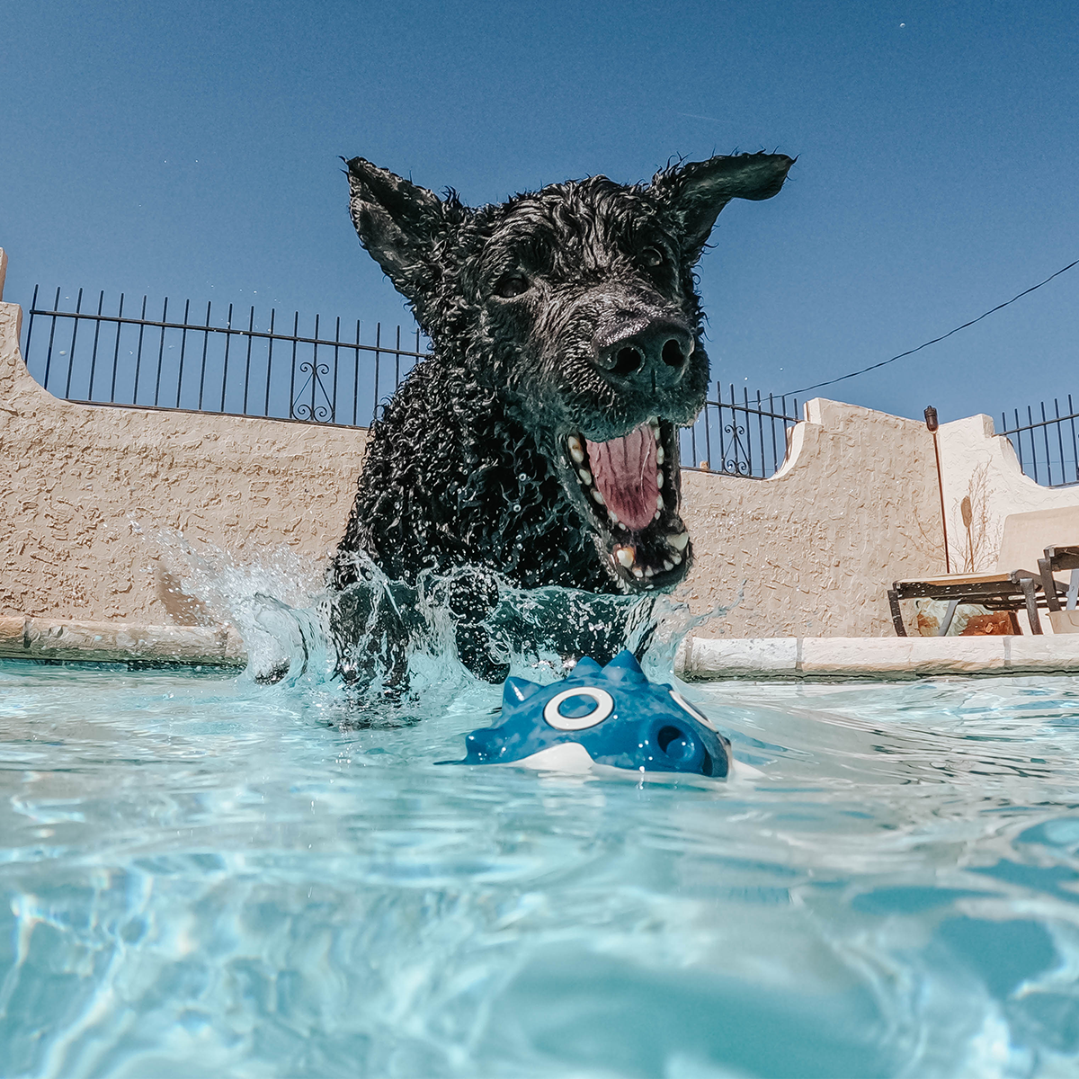 Throwfish Super Chewer Durable Fetch Dog Toy - Image 6
