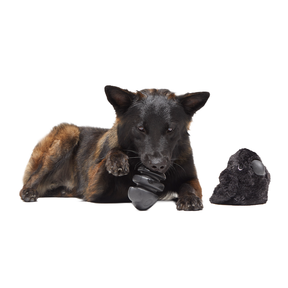 Throwth The Raven Super Chewer Durable 2-in-1 + Enrichment Dog Toy - Image 3