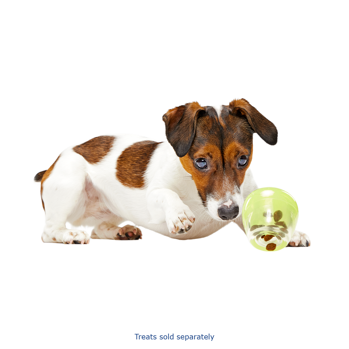 Tipsy Margarita Super Chewer Durable Enrichment Dog Toy - Image 3