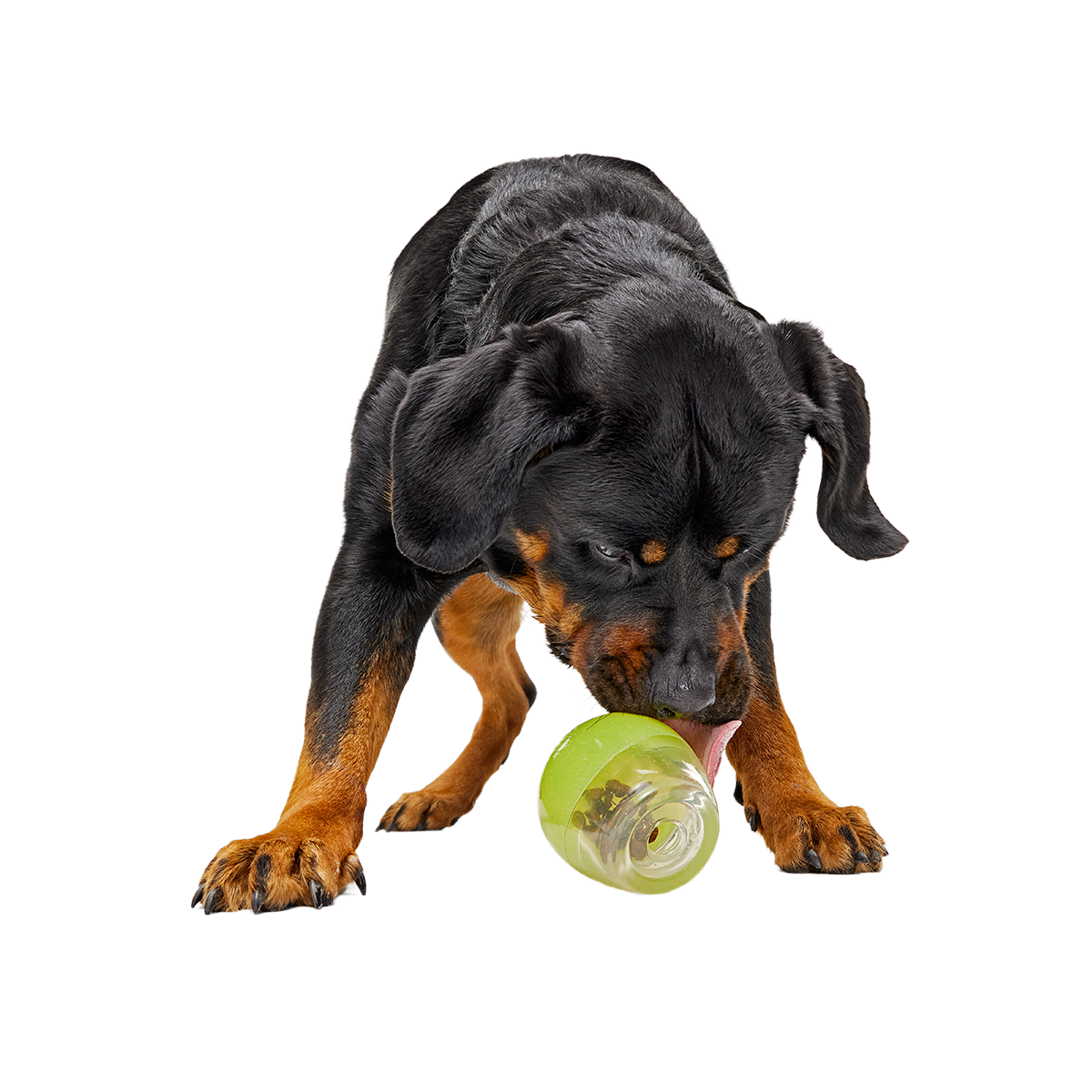 Tipsy Margarita Super Chewer Durable Enrichment Dog Toy - Image 7