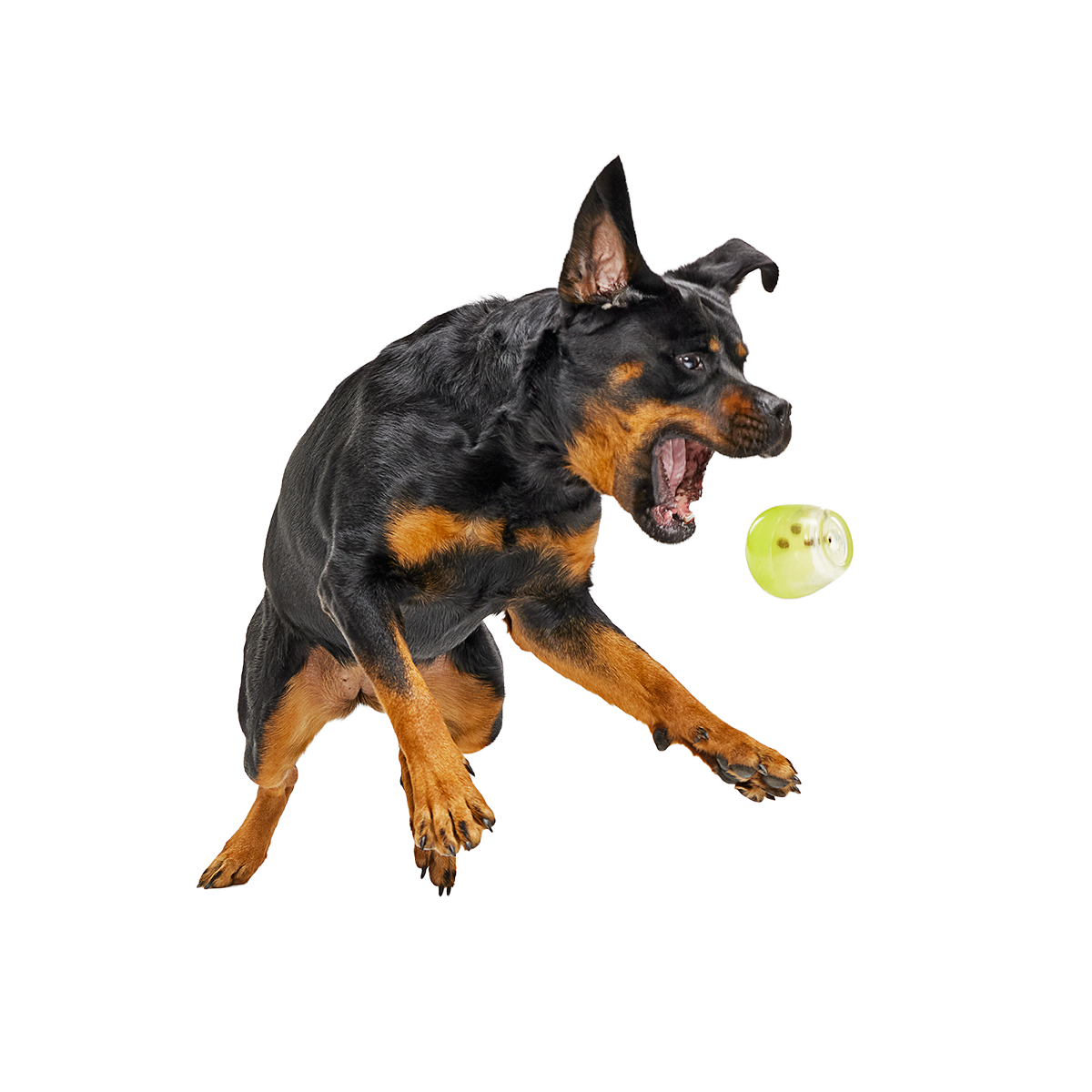 Tipsy Margarita Super Chewer Durable Enrichment Dog Toy - Image 5
