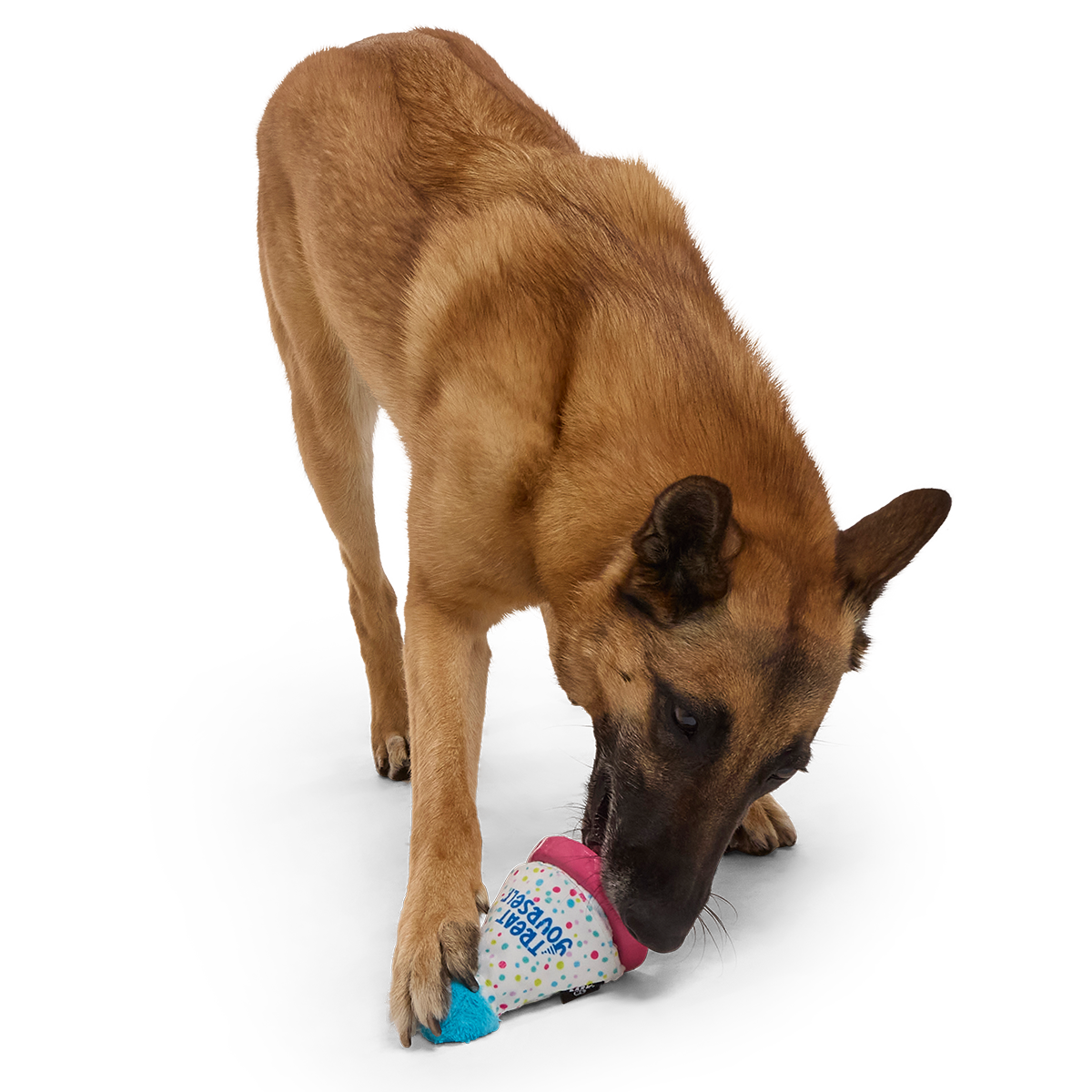 Treat Yourself Party Hat Super Chewer Durable 2-in-1 + Enrichment Dog Toy - Image 5
