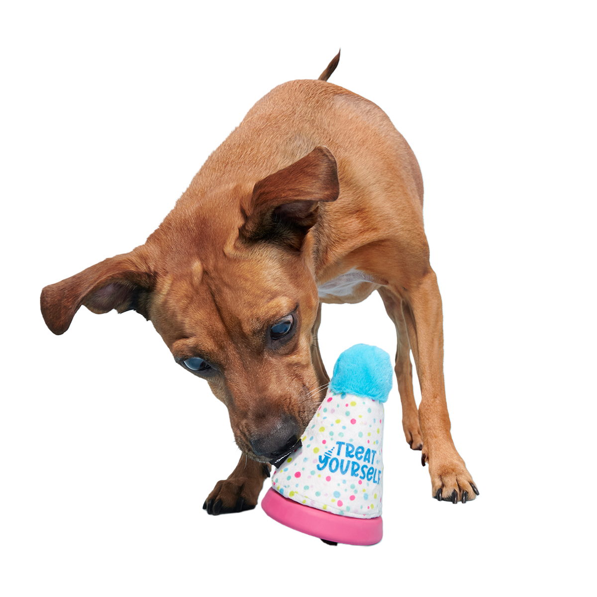 Treat Yourself Party Hat Super Chewer Durable 2-in-1 + Enrichment Dog Toy - Image 4