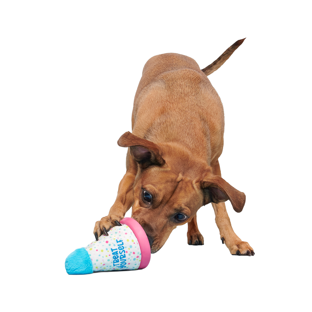 Treat Yourself Party Hat Super Chewer Durable 2-in-1 + Enrichment Dog Toy - Image 3