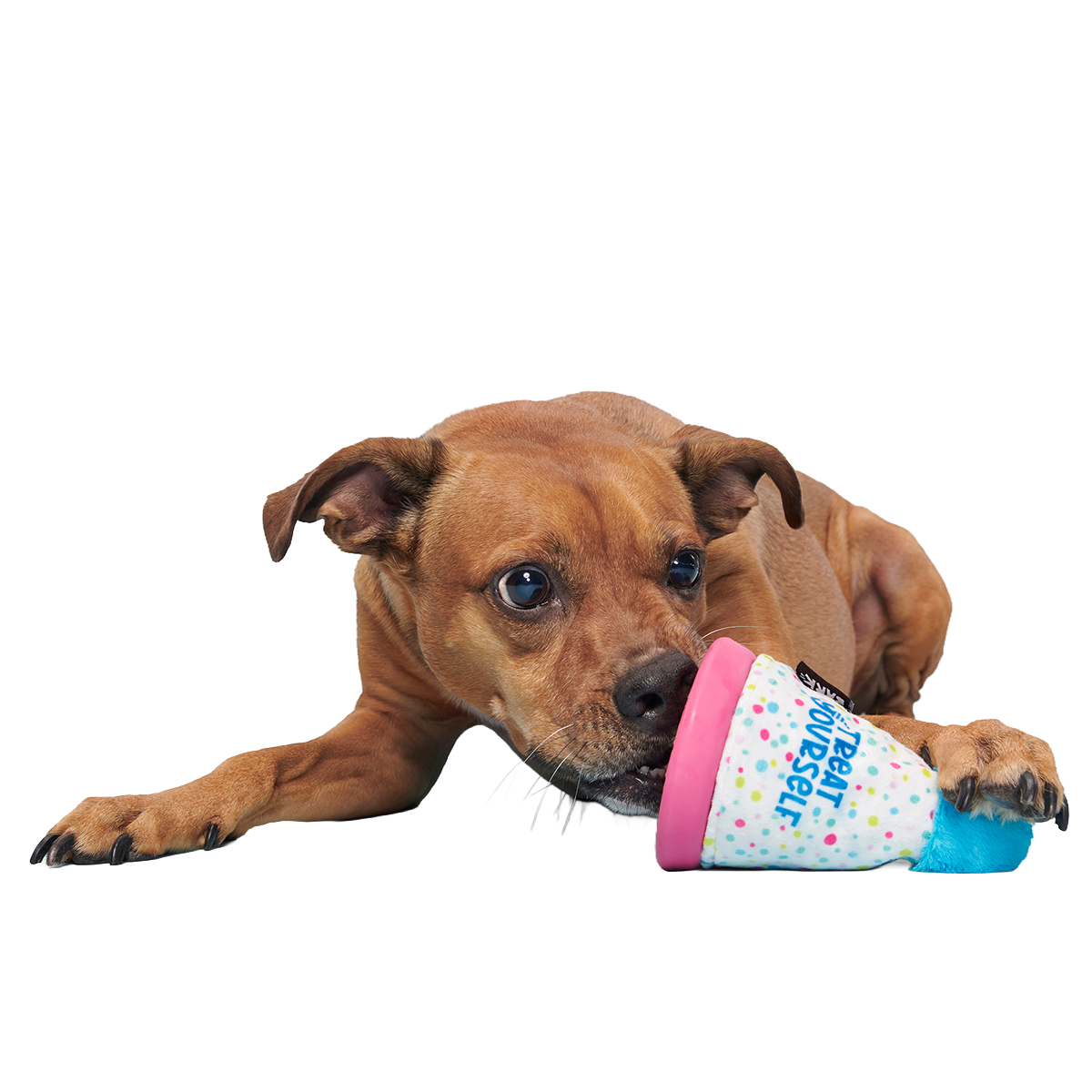 Treat Yourself Party Hat Super Chewer Durable 2-in-1 + Enrichment Dog Toy - Image 2