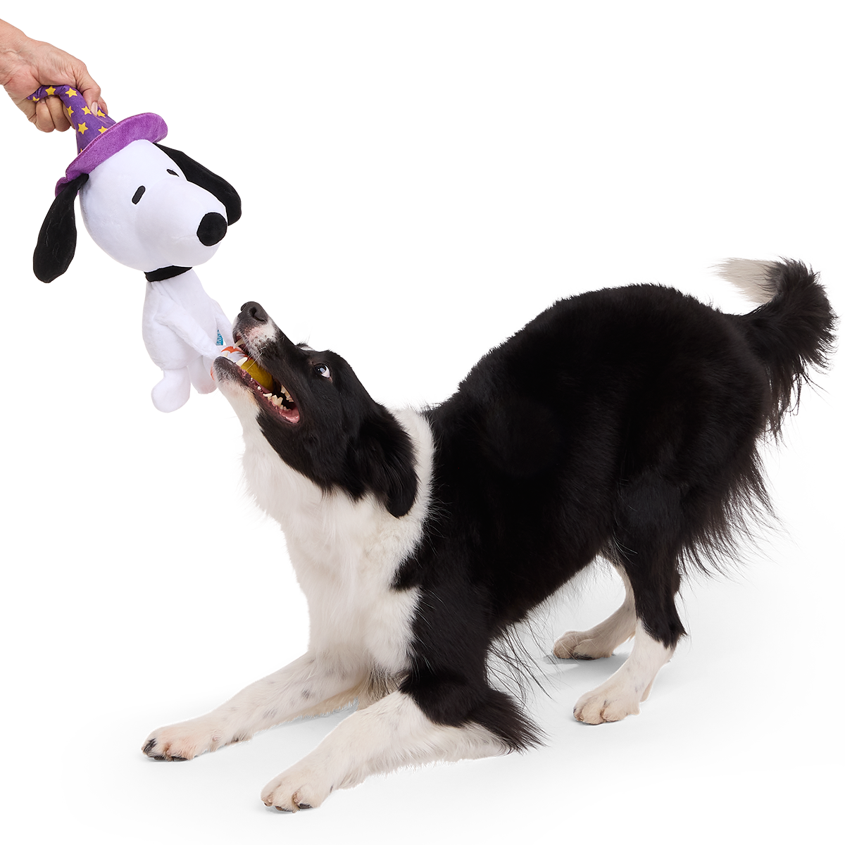 Trick or Squeak Snoopy Plush Extra-Large + Tug Dog Toy - Image 3