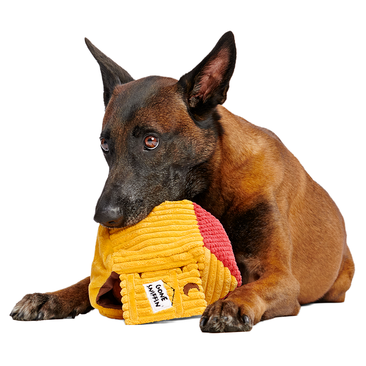Turdbert's Snouthouse Plush Multi-Part + Enrichment Dog Toy - Image 7