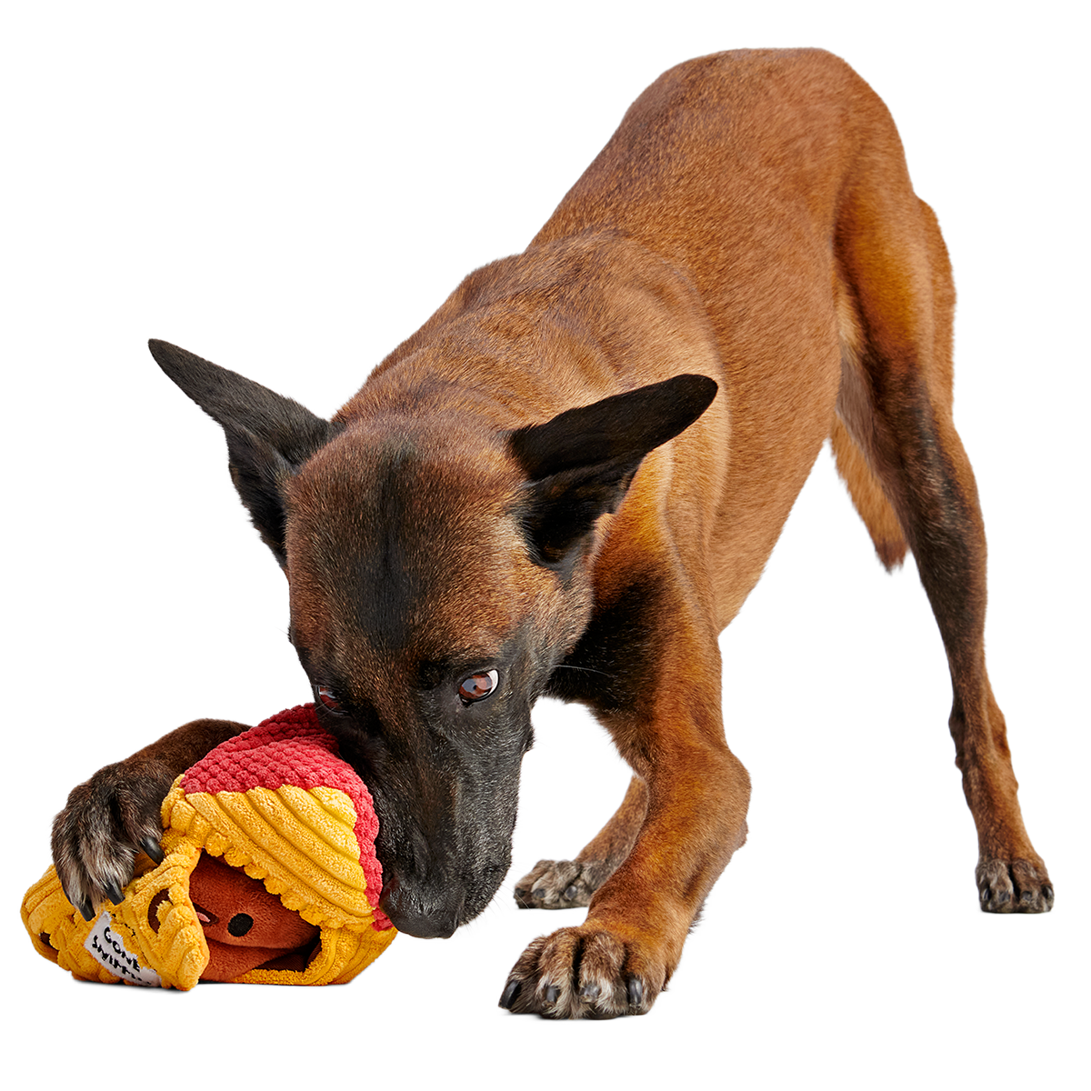 Turdbert's Snouthouse Plush Multi-Part + Enrichment Dog Toy - Image 5