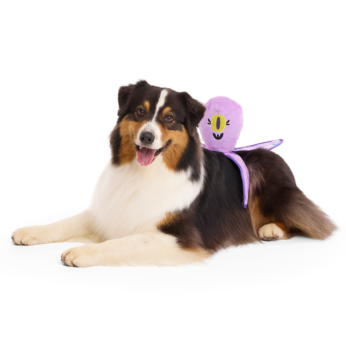 U.F.Ollie Plush Extra-Large + Tug Dog Toy - Image 4