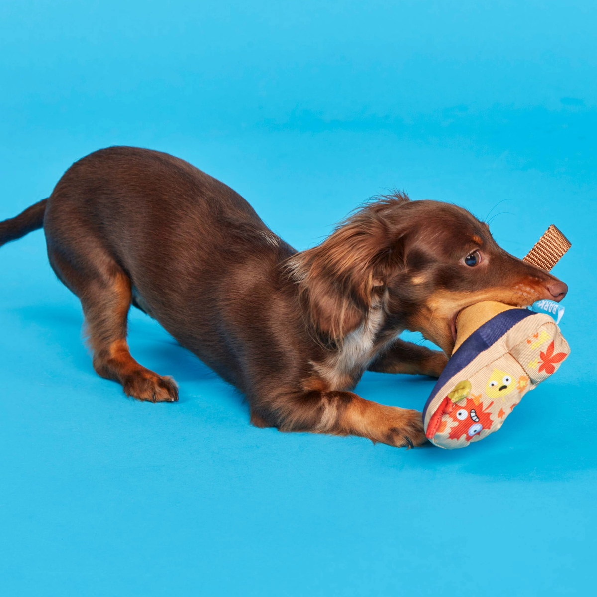 Barkwoods Boot Plush Tug Dog Toy - Image 3