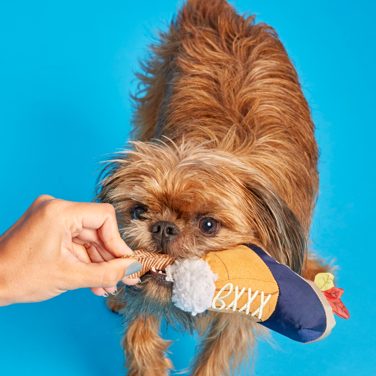 Barkwoods Boot Plush Tug Dog Toy - Image 4