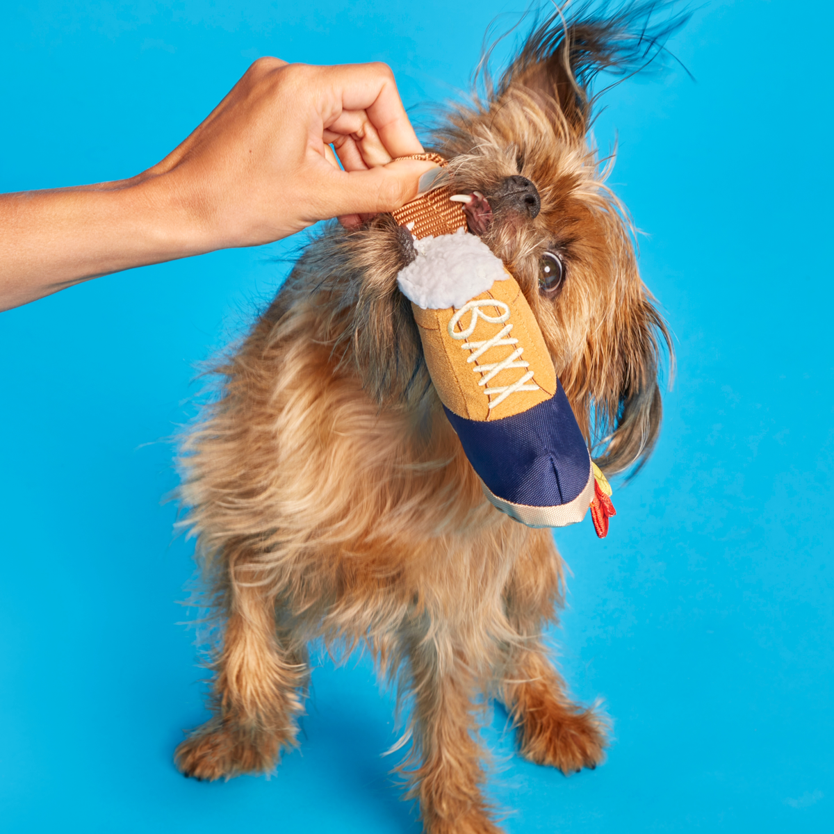 Barkwoods Boot Plush Tug Dog Toy - Image 5