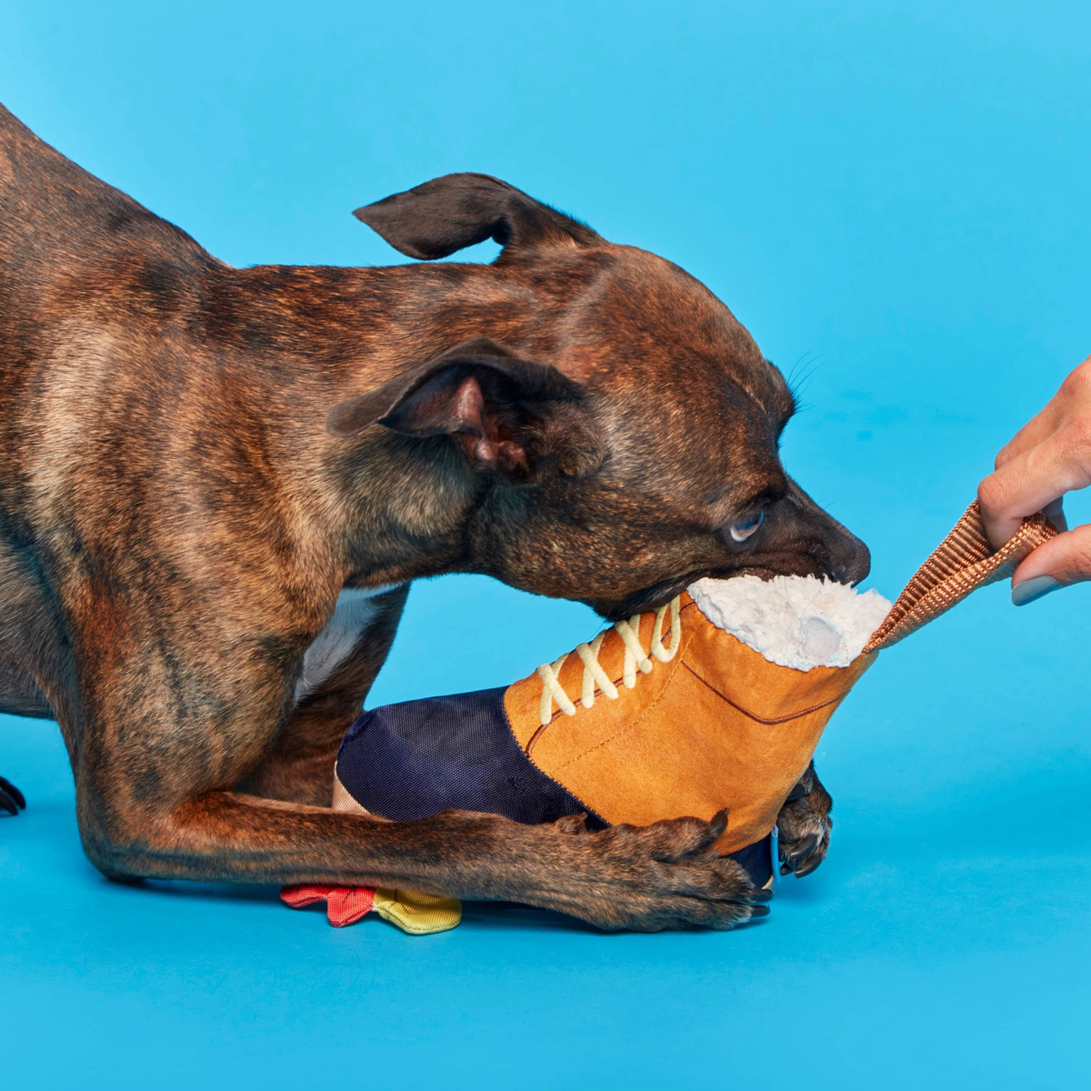 Barkwoods Boot Plush Tug Dog Toy - Image 2