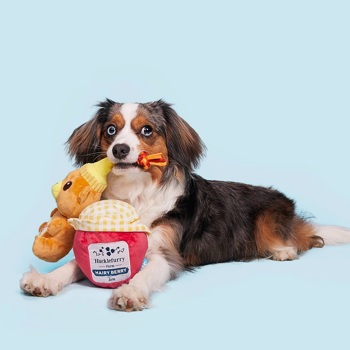 That's My Jam. Honey Plush Multi-Part + Enrichment Dog Toy - Image 4