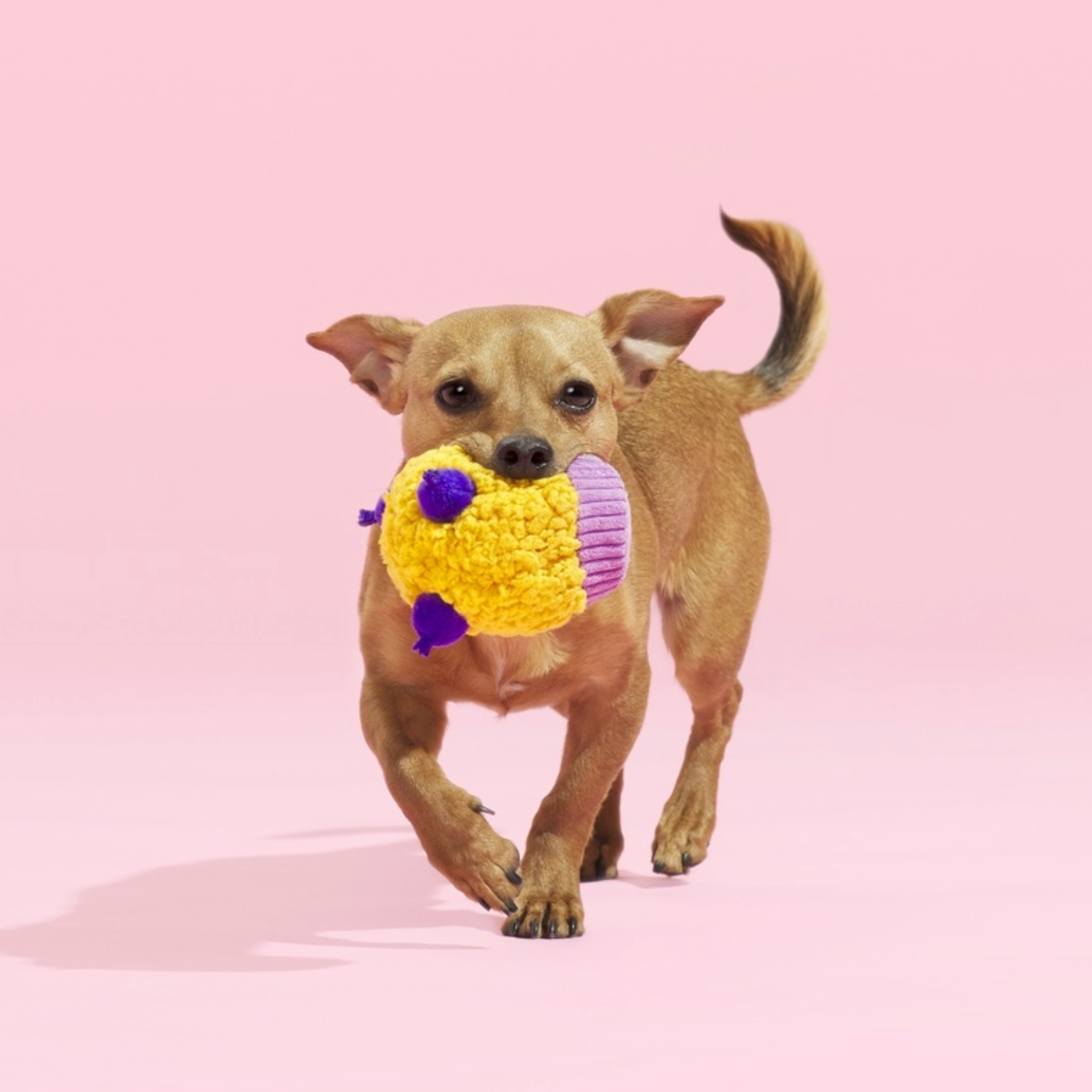 Stuffin' Muffin Plush Fetch Dog Toy - Image 2