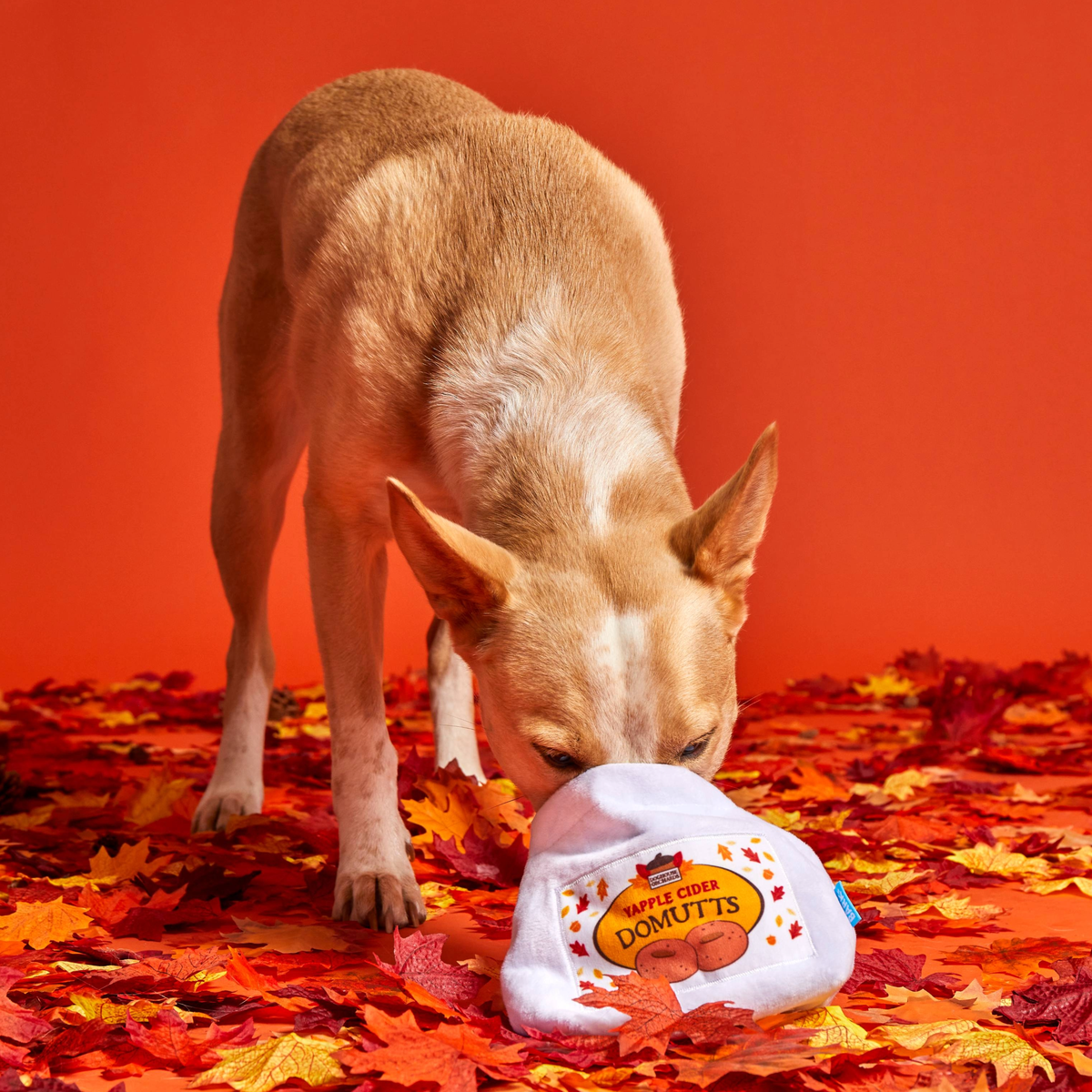 Apple Cider Domutts Plush Multi-Part + Enrichment Dog Toy - Image 2