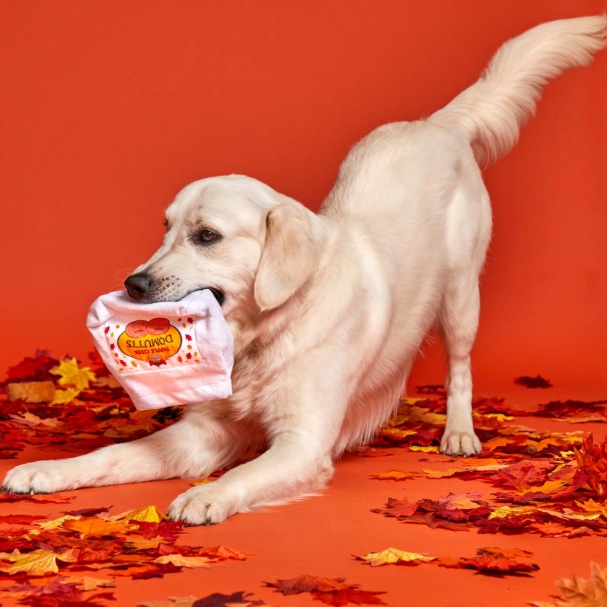 Apple Cider Domutts Plush Multi-Part + Enrichment Dog Toy - Image 4