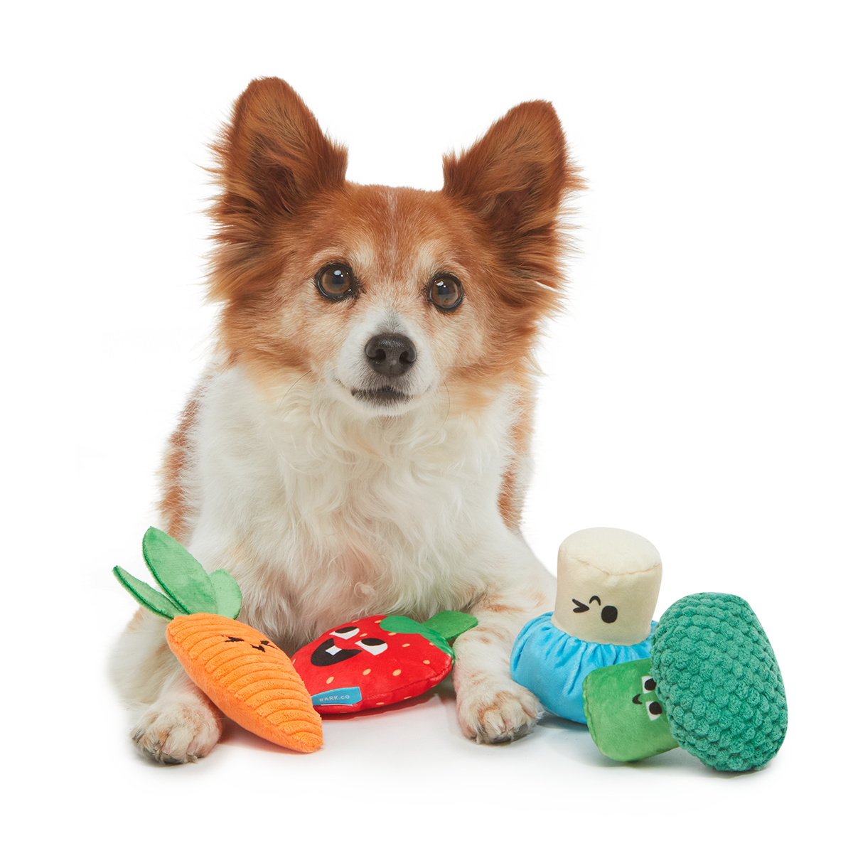 Veggie Patch Pals Plush Multi-Part Dog Toy - Image 2