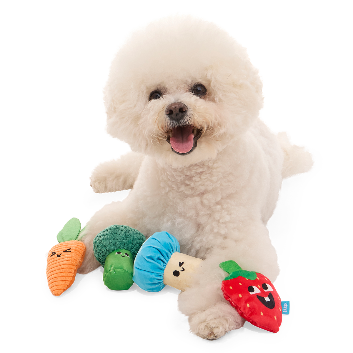 Veggie Patch Pals Plush Multi-Part Dog Toy - Image 3