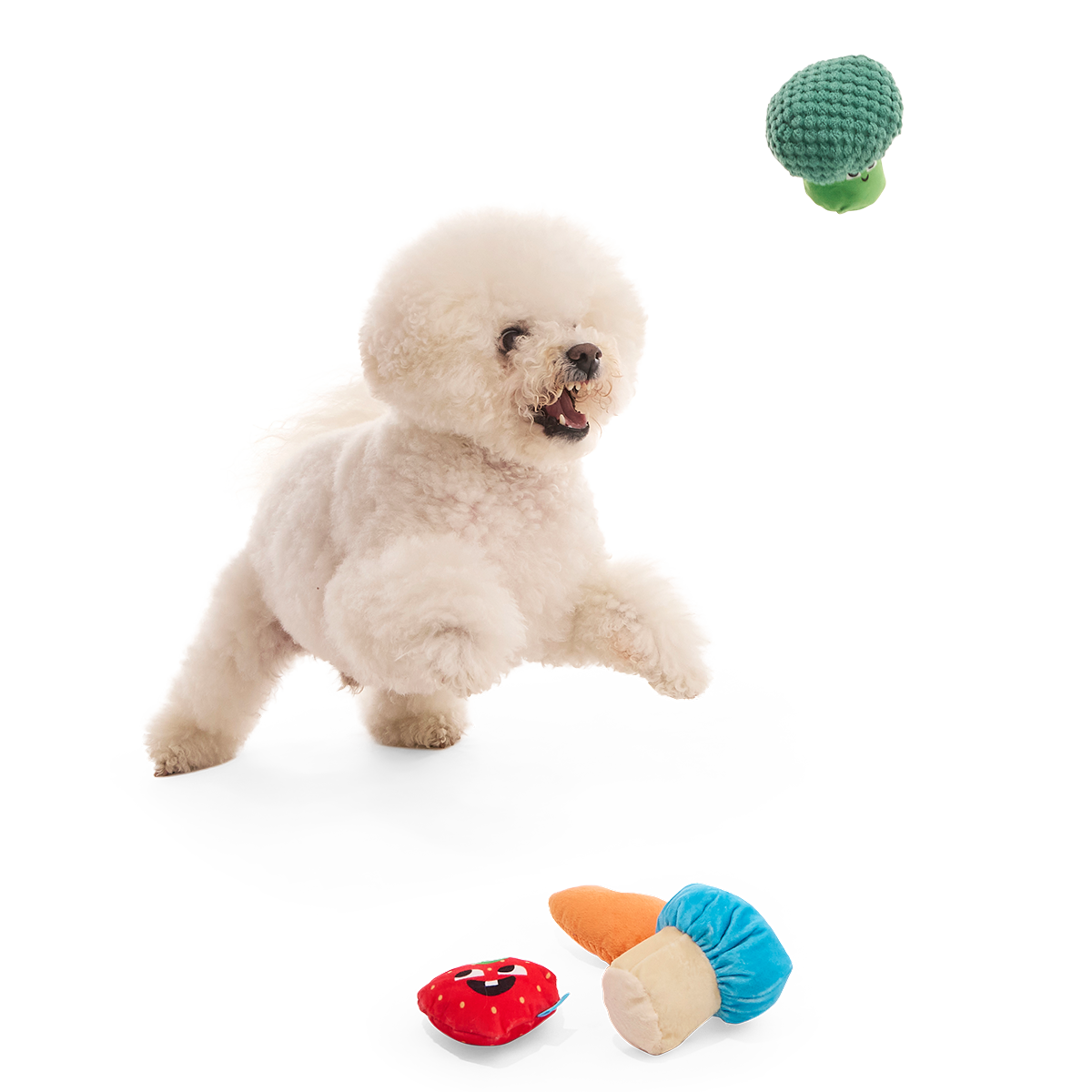 Veggie Patch Pals Plush Multi-Part Dog Toy - Image 4