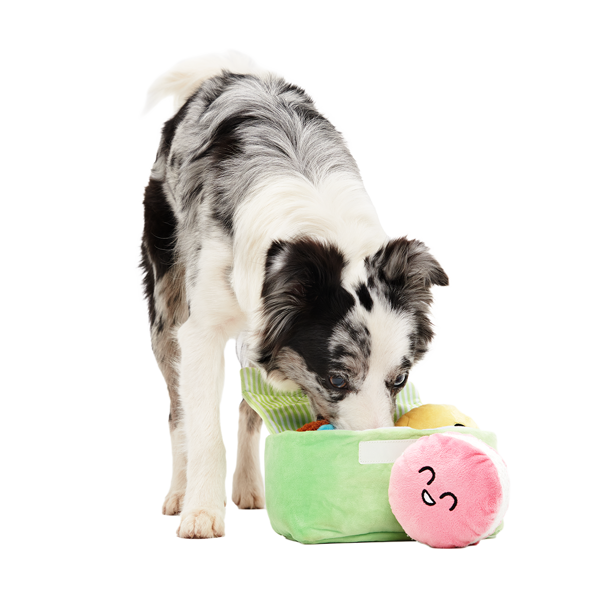 Wee Wee Macaroon Plush Multi-Part + Enrichment Dog Toy - Image 3