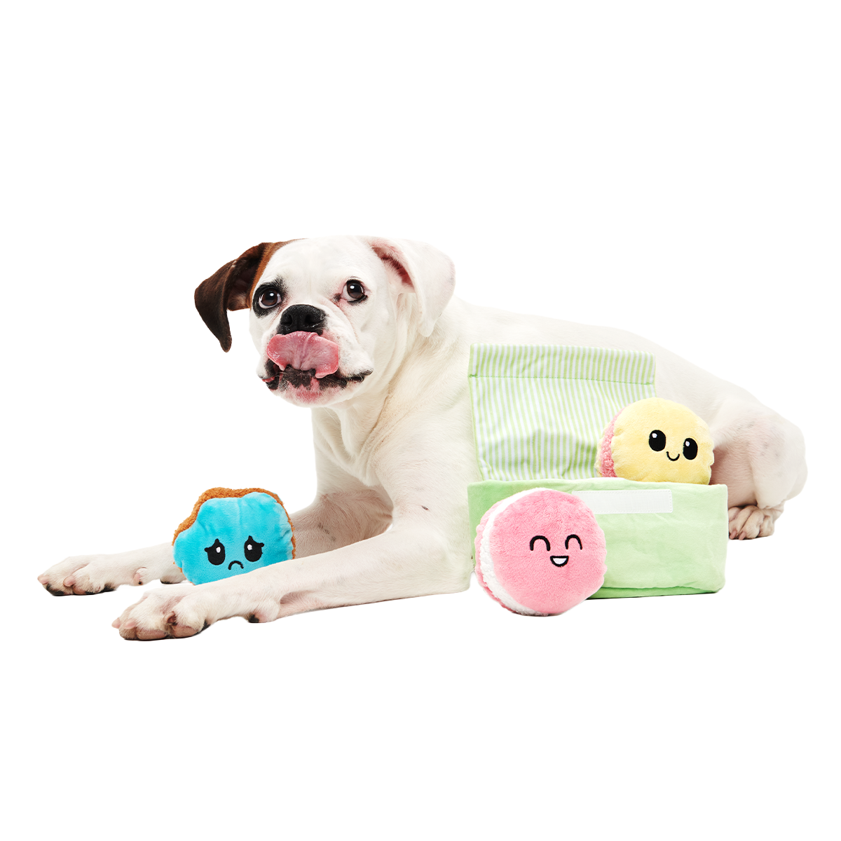 Wee Wee Macaroon Plush Multi-Part + Enrichment Dog Toy - Image 2