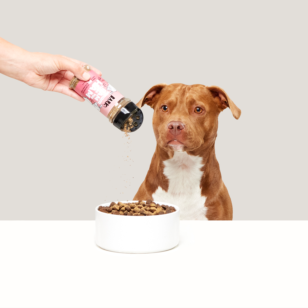 Wham Bam Thank You Ham Pork Dog Food Meal Topper. 4.6 oz - Image 6