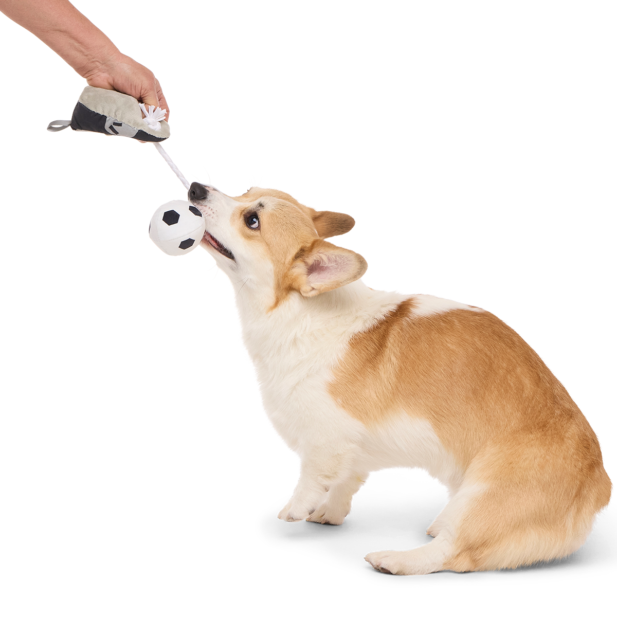 World Pup Cleat Plush Tug + Enrichment Dog Toy - Image 2